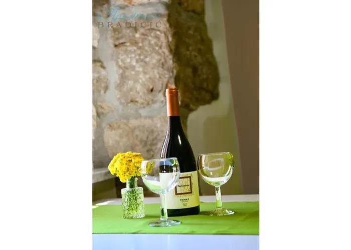 Dolores Old Town Apartment Moscenicka Draga